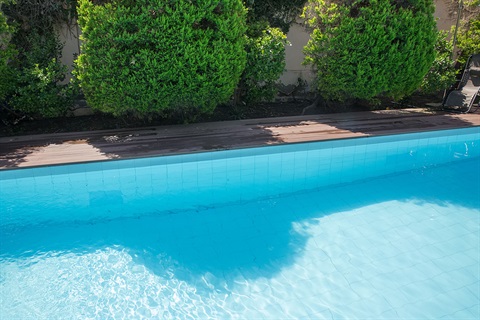 Swimming-Pool2.jpg