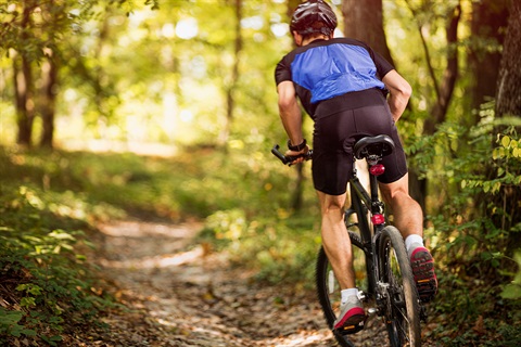 biking-on-a-sunny-day.jpg