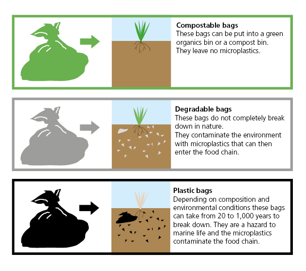 Compostable bag and plastic bag diagram.jpg