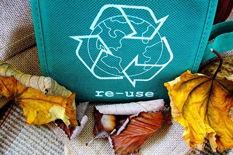 Reusable bag.jpg