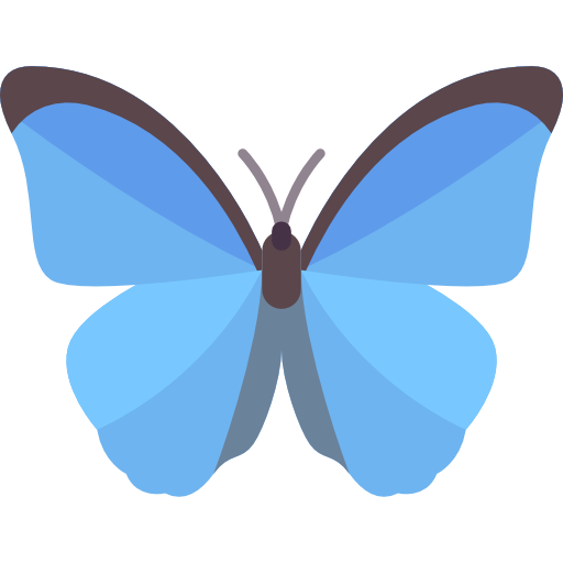 butterfly.png