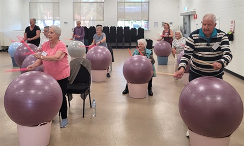 Ageing Well - Fit Ball Drumming